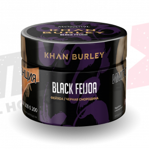 Табак для кальяна "Khan Burley" Black feijoa, 40гр.